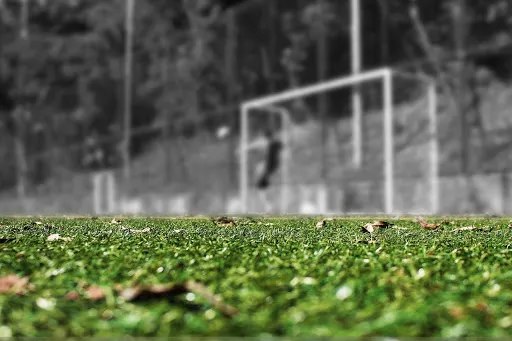 Zdjęcia w procesie kreowania własnej marki. Najpopularniejsi polscy sportowcy na Instagramie